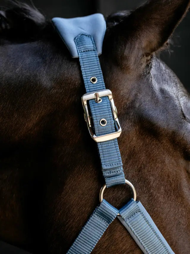 Le Mieux Breakaway Vogue Headcollar Ice Blue