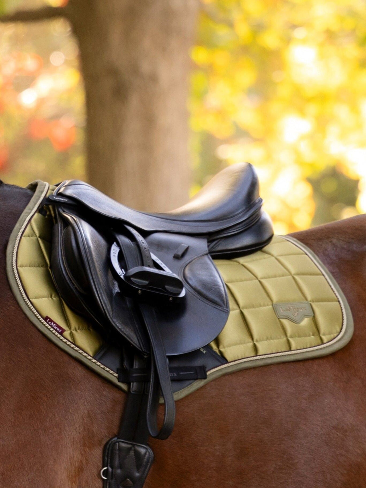 Le Mieux Loire Classic Close Contact Square Gooseberry S/M