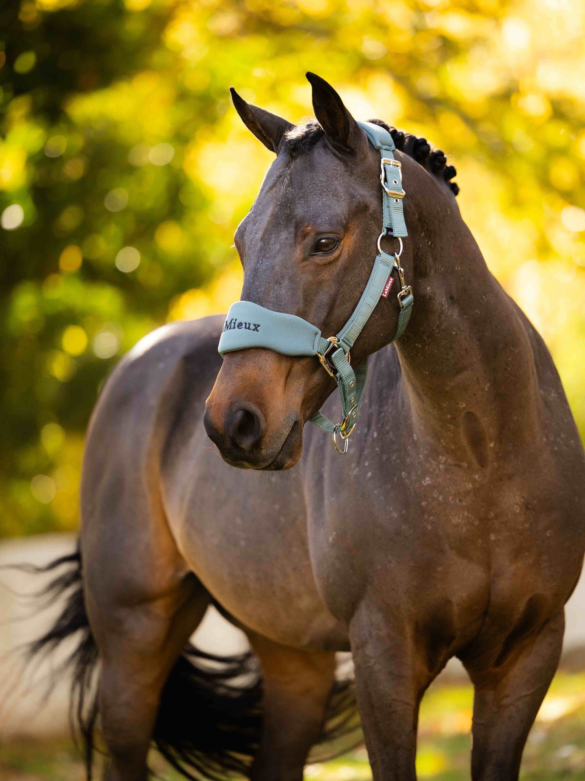 Le Mieux Breakaway Vogue Headcollar & Leadrope Aloe