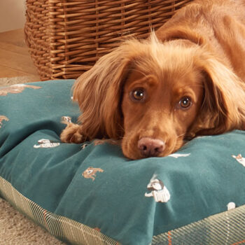 Danish Design Laura Ashley Park Dogs Deep Duvet Medium