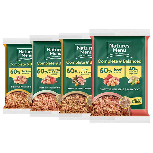 Natures Menu Dog - Complete & Balanced 60/40 Meat Selection Block Multipack 12x300g