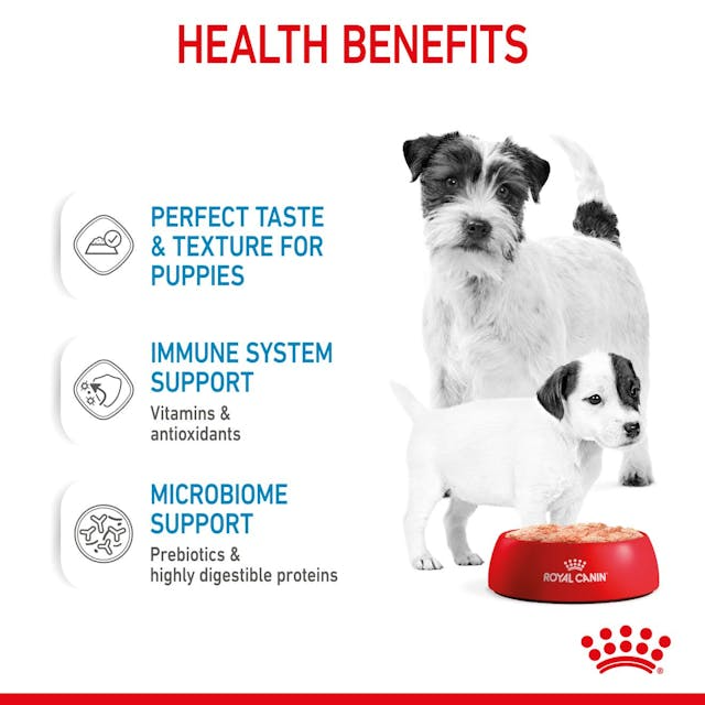 Royal Canin Dog - Starter Mousse Mother & Baby Dog 195g