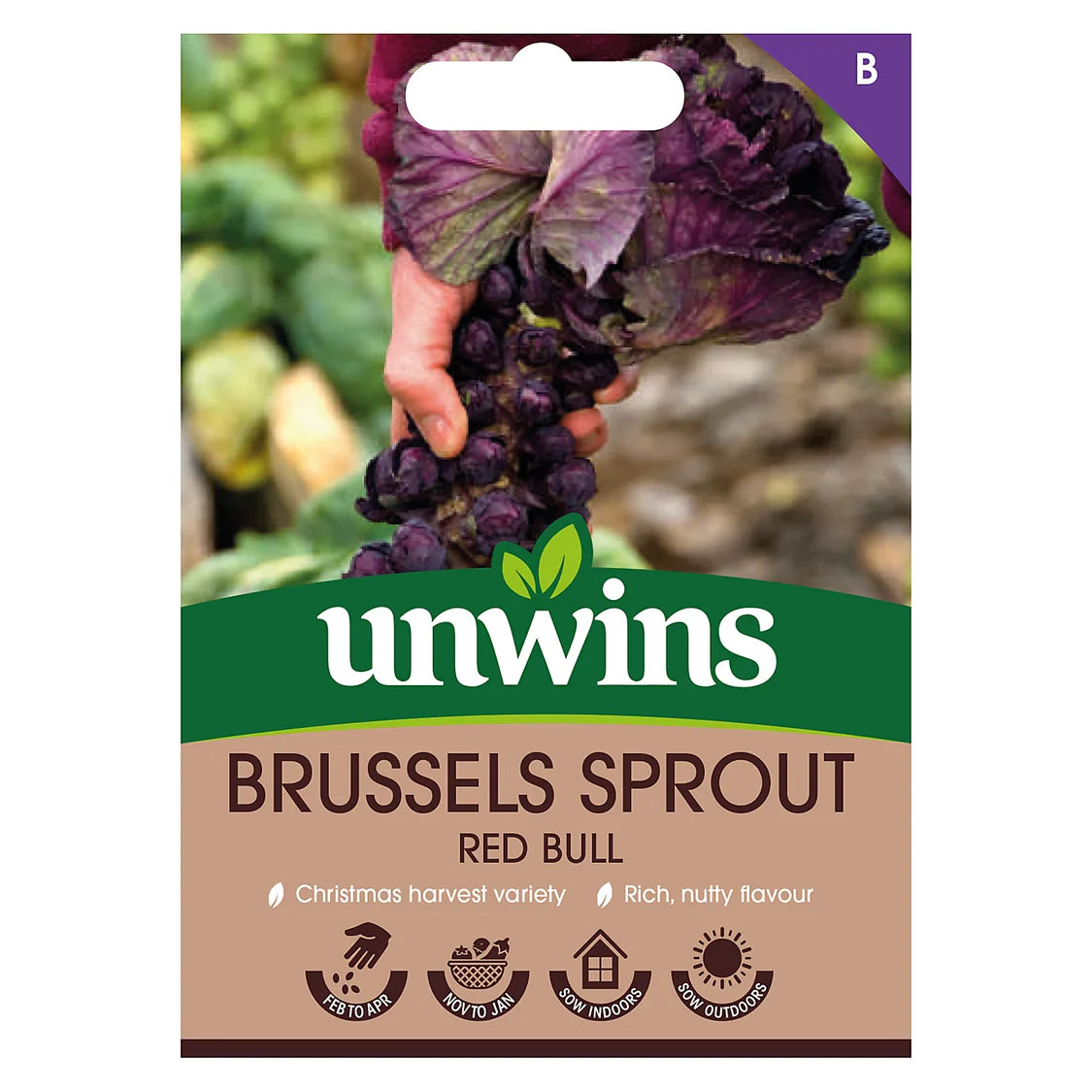 Unwins Brussels Sprout Red Bull