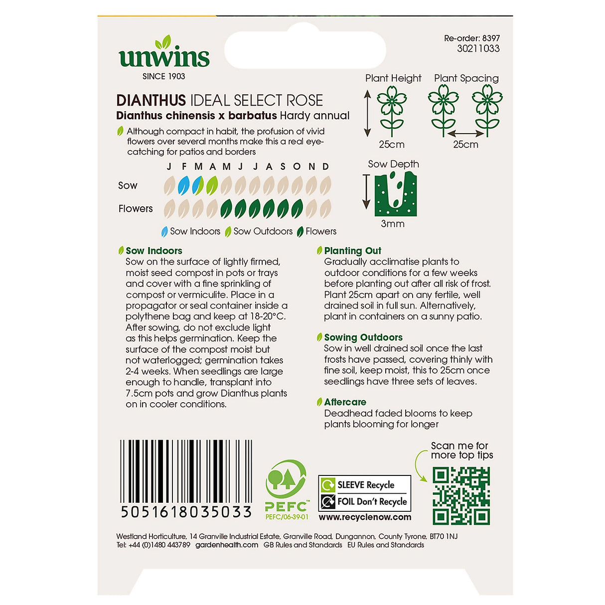 Unwins Dianthus Ideal Select Rose