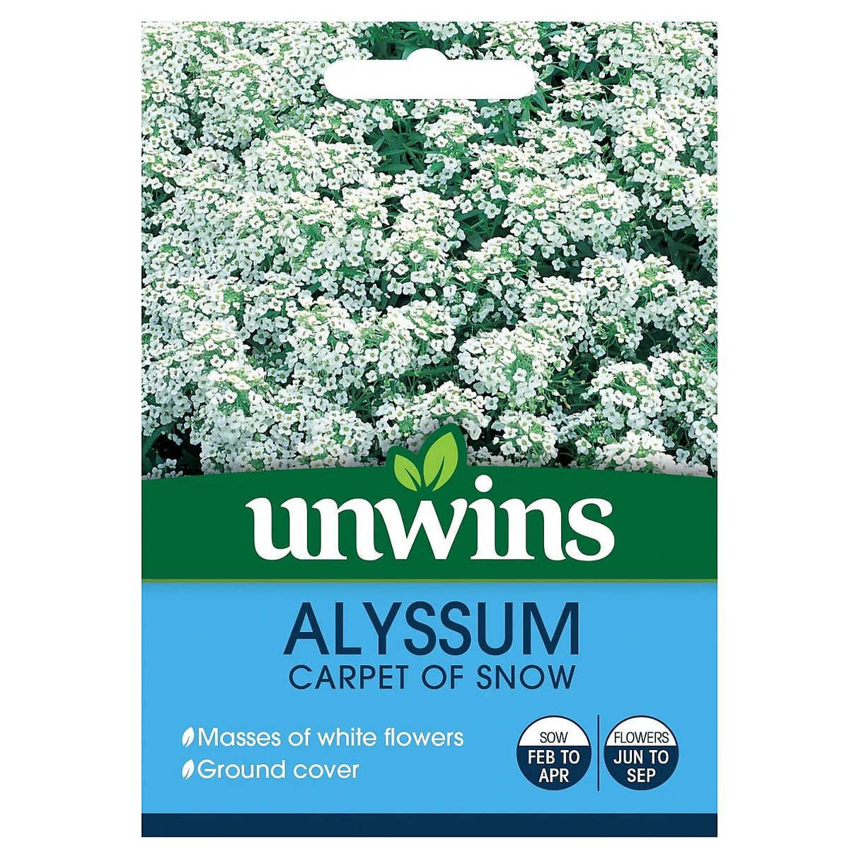 Unwins Alyssum Carpet Of Snow