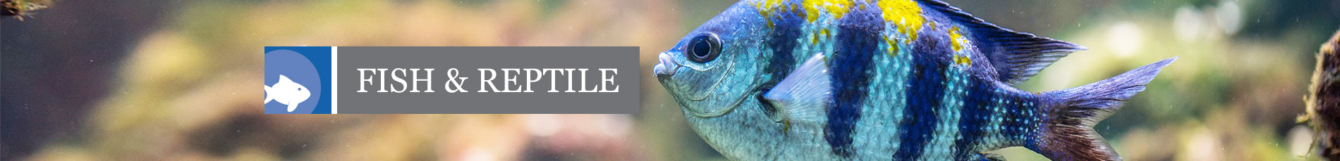Fish & Reptile Banner