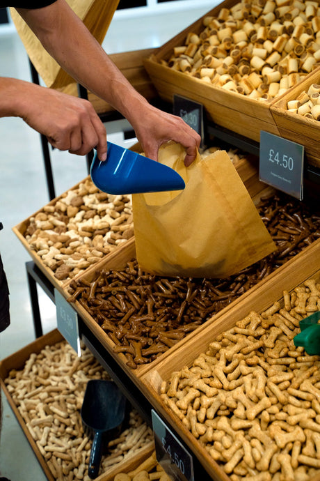 Animal Feeds