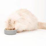 Scruffs Classic Food Bowl 13cm Grey