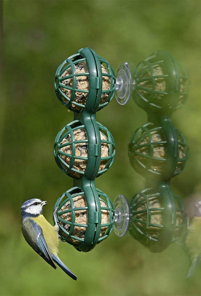 Jacobi Jayne Basket Ball Window Feeder – Rokers