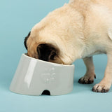 Scruffs Icon Flat Faced Pet Bowl 18cm Light Grey
