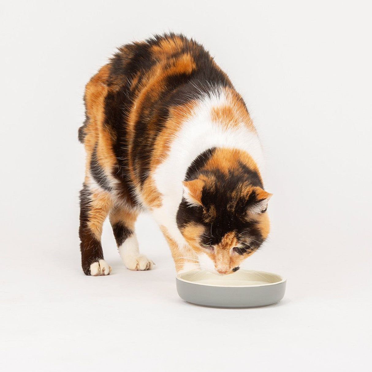 Scruffs Classic Pet Saucer 13cm Grey