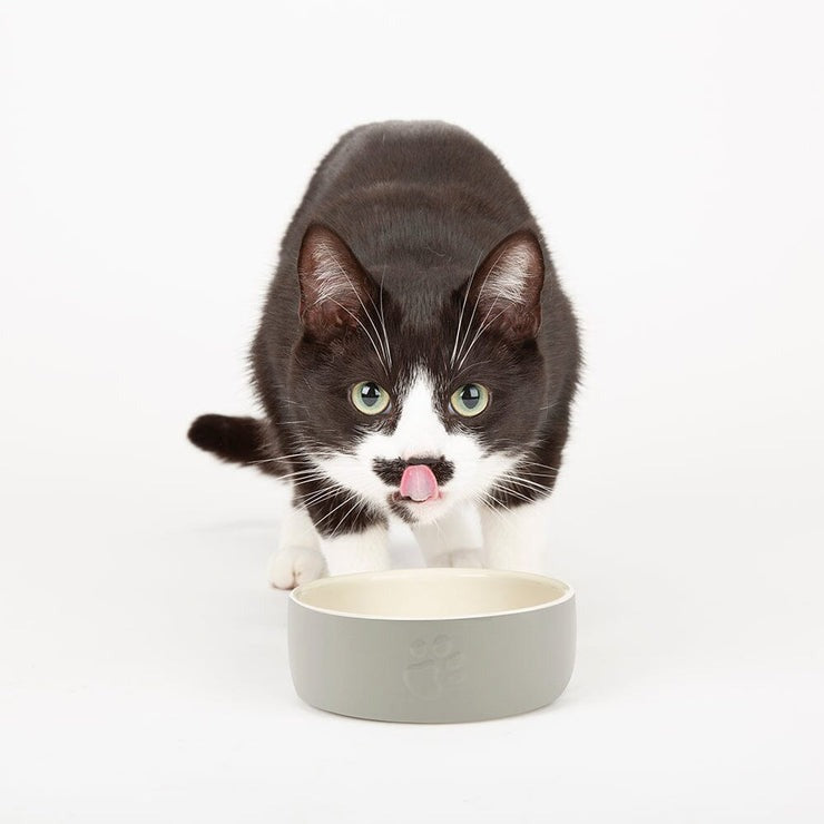 Scruffs Icon Food Bowl 13cm Light Grey