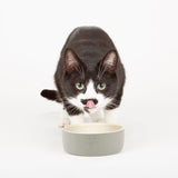 Scruffs Icon Food Bowl 13cm Light Grey