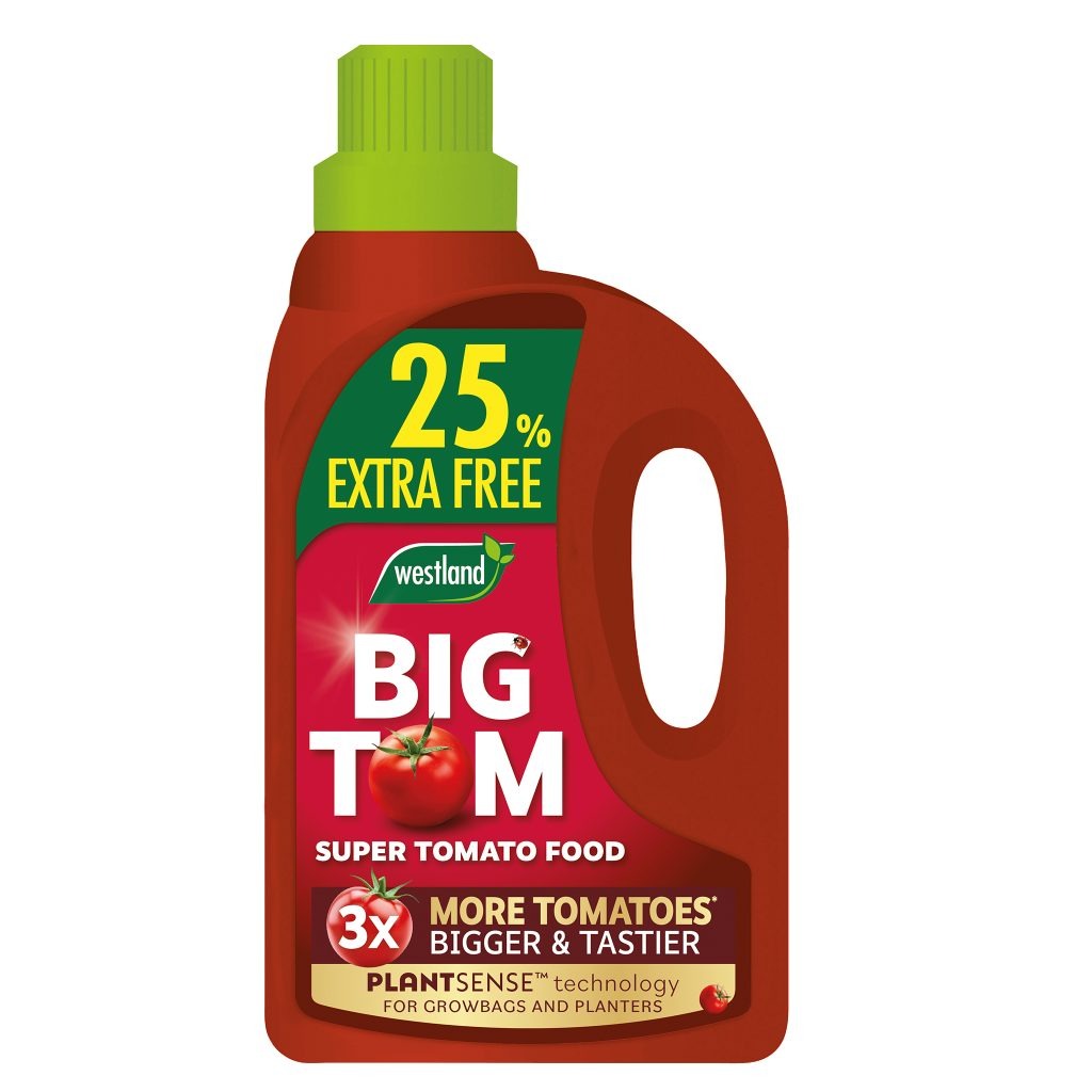Westland Big Tom Tomato Food 1L + 25% Extra Free