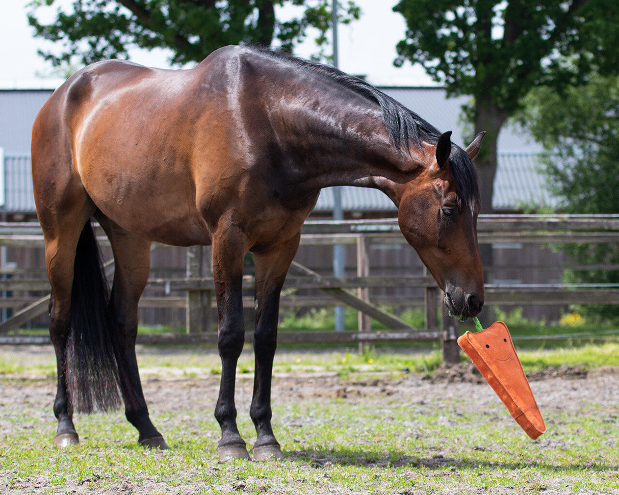 QHP Horse Toy XL Carrot