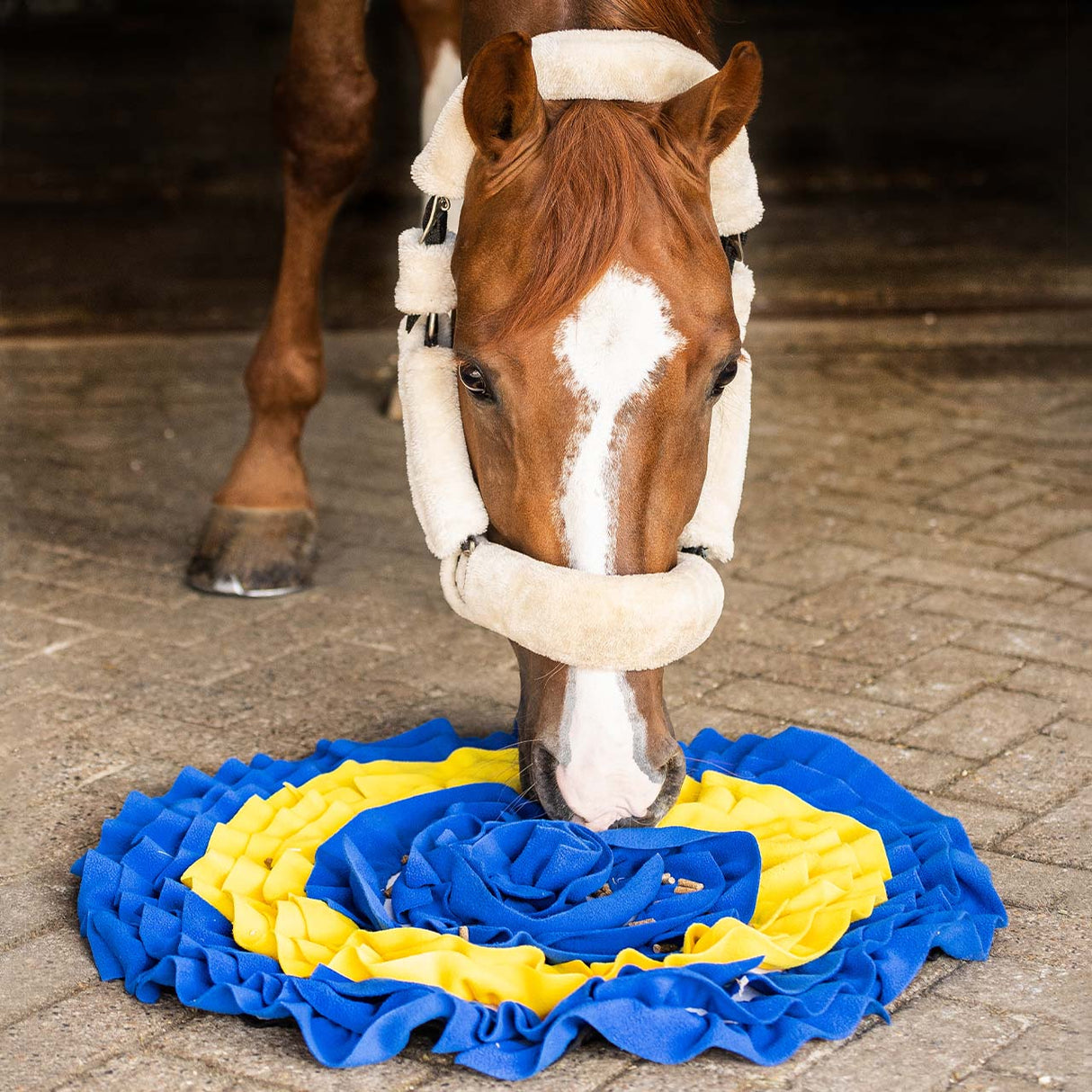 QHP Snuffle Mat For Horses Blue/Yellow