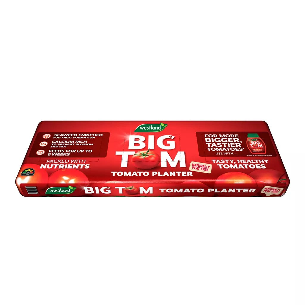 Westland Gro-Sure BiG Tom Tomato Planter Large