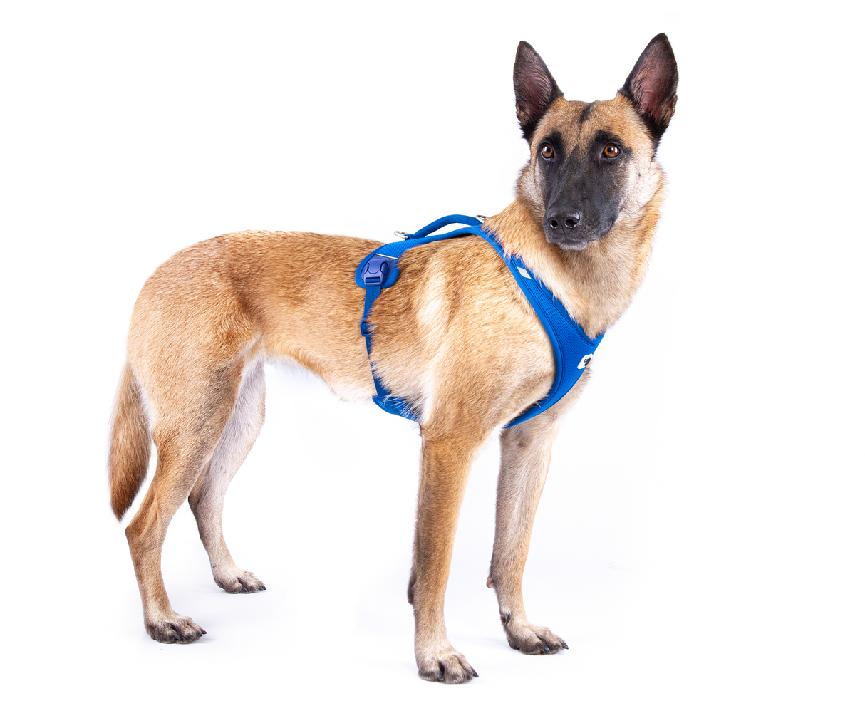 Curli Belka Harness Air-Mesh