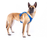 Curli Belka Harness Air-Mesh
