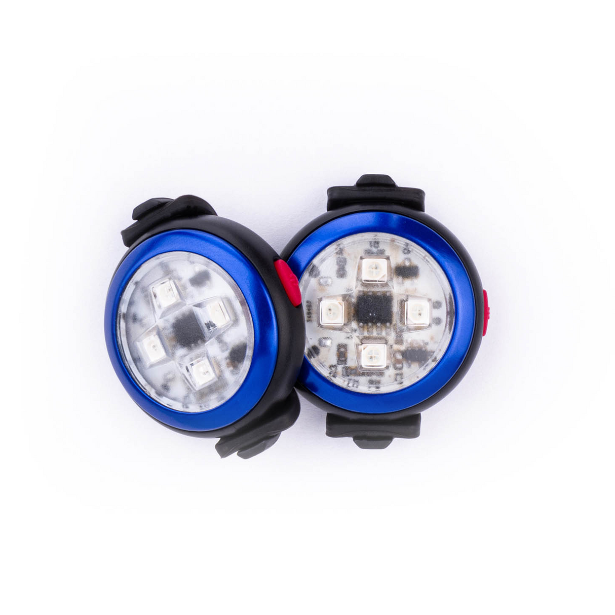 Curli Dog Luumi Safety LED