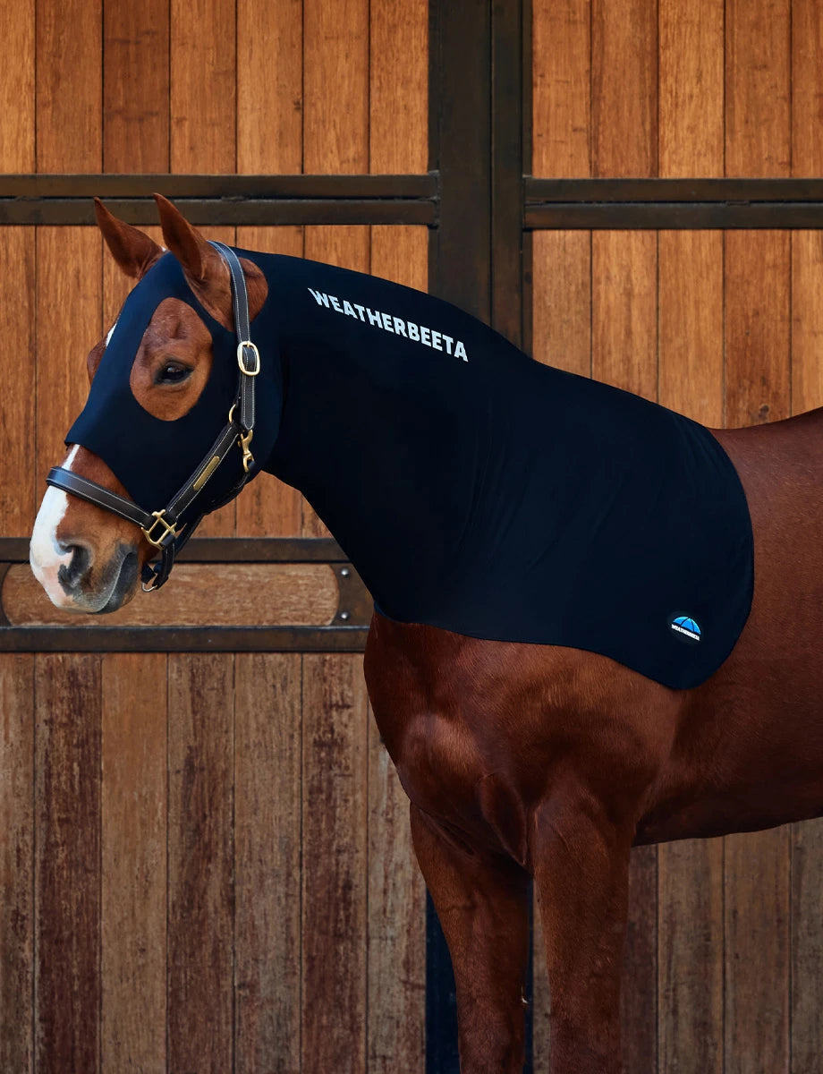 Weatherbeeta Stretch Hood Black