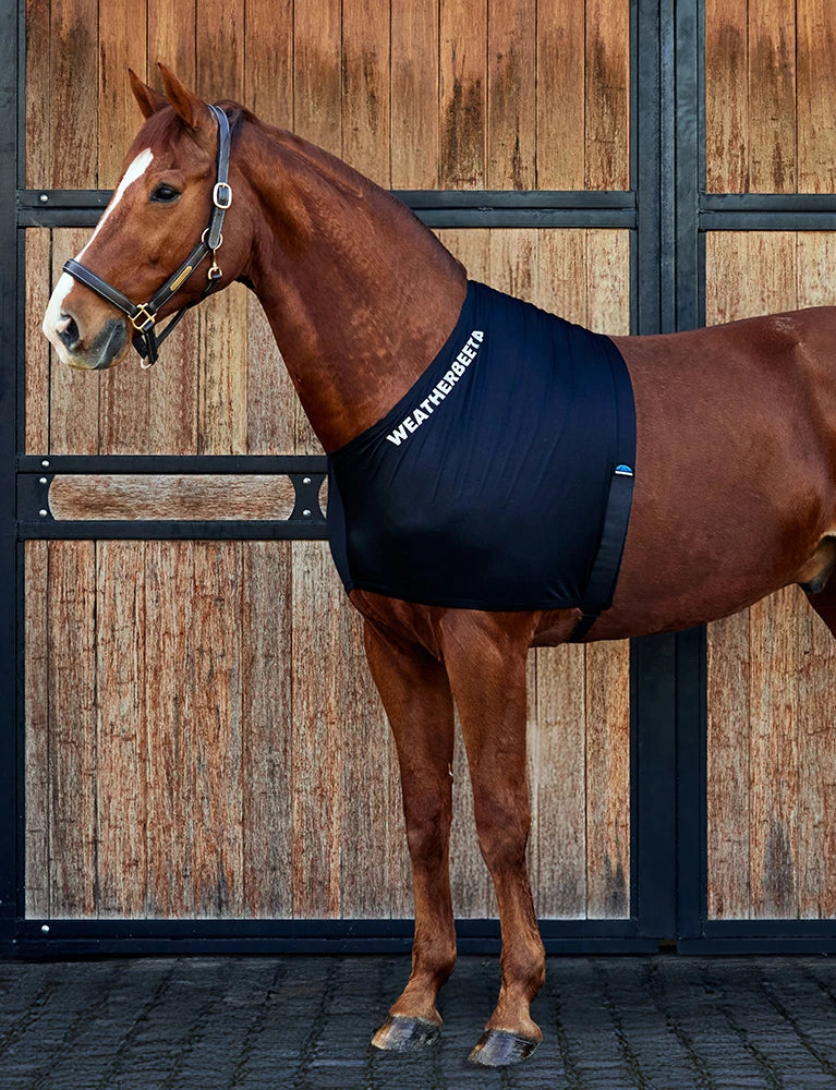 Weatherbeeta Stretch Shoulder Guard Black