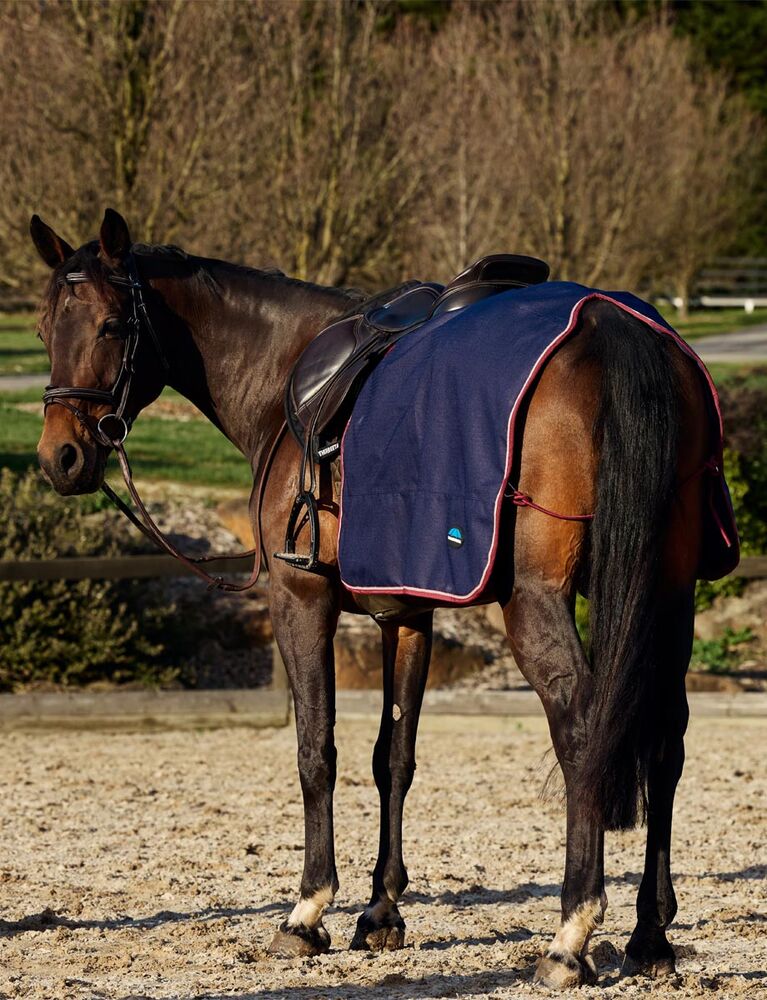 Weatherbeeta Essential Fleece Lined Quarter Sheet Navy / Burgundy