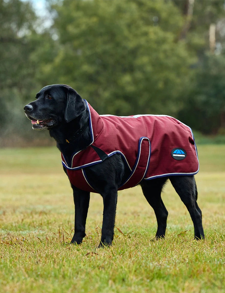 Weatherbeeta Comfitec Premier Deluxe Waterproof Dog Coat Burgundy/Navy