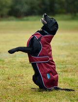 Weatherbeeta Comfitec Premier Deluxe Waterproof Dog Coat Burgundy/Navy