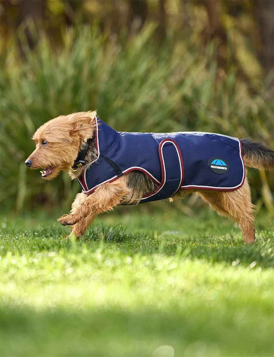 Weatherbeeta Comfitec Premier Deluxe Waterproof Dog Coat Navy/Burgundy