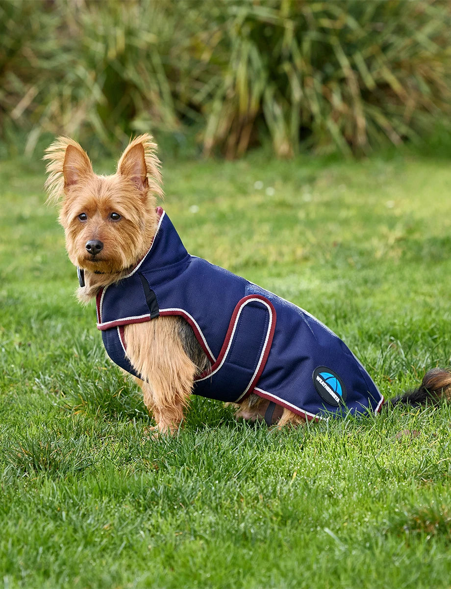 Weatherbeeta Comfitec Premier Deluxe Waterproof Dog Coat Navy/Burgundy