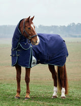 Weatherbeeta Comfitec Plus Dynamic Turnout Detach-A-Neck 100g Forest Green / Navy