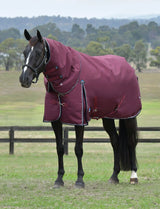 Weatherbeeta Comfitec Essential Turnout Detach-A-Neck 220g Burgundy / Navy