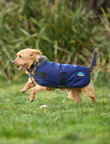Weatherbeeta Comfitec Classic Waterproof Dog Coat Navy