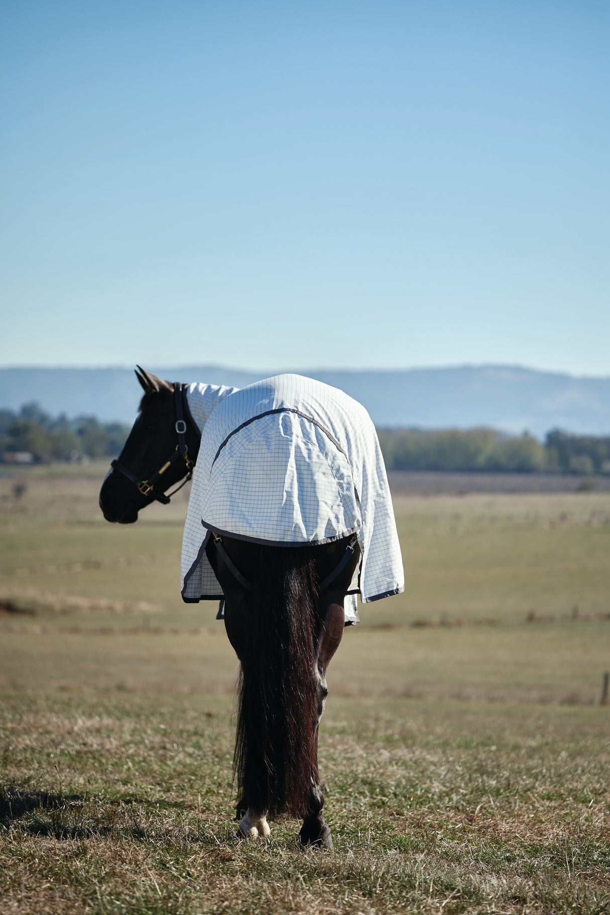 Weatherbeeta Hybrid Sheet Combo White/Charcoal