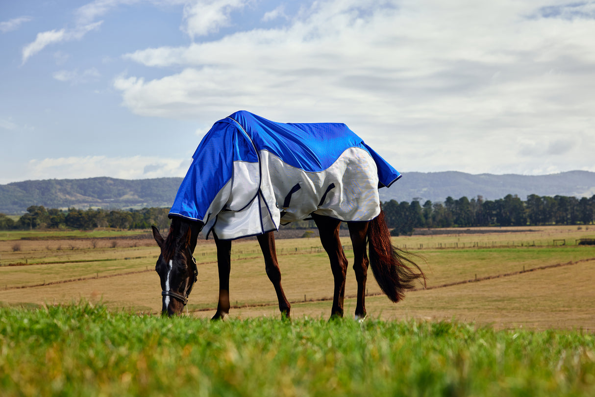 Weatherbeeta Comfitec Duo Shield Detach-A-Neck Blue/Silver/Navy