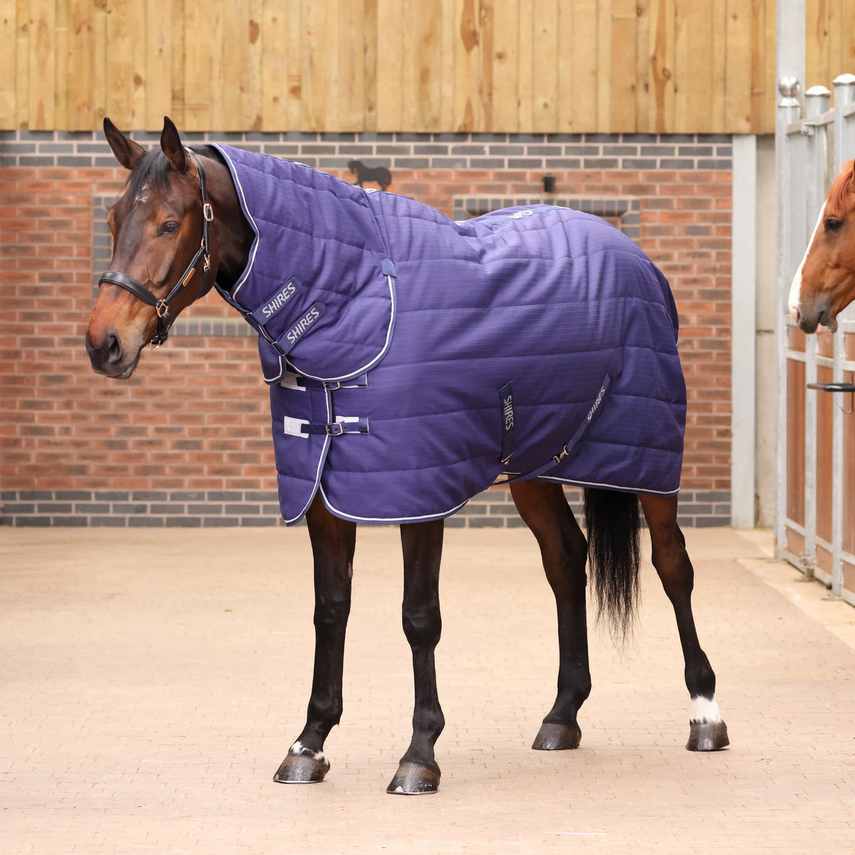 Shires Tempest Original 100g Combo Stable Rug Navy