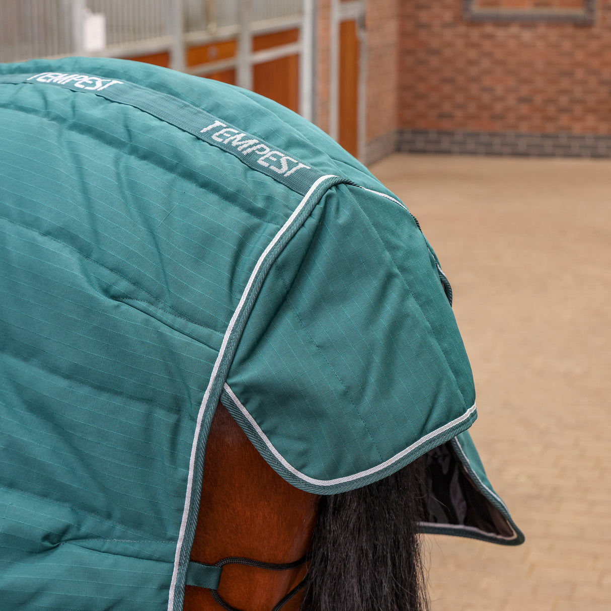 Shires Tempest Original 200g Combo Stable Rug Emerald
