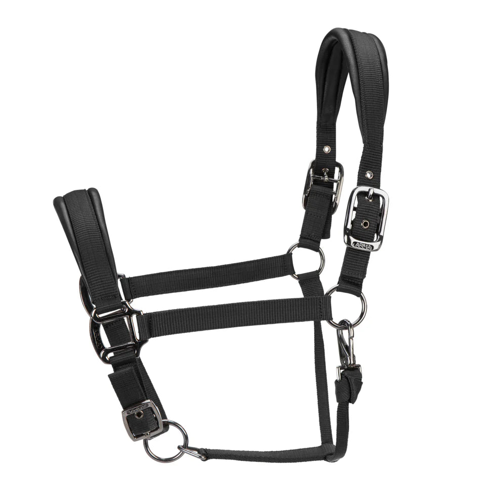 Shires ARMA Pro Padded Headcollar