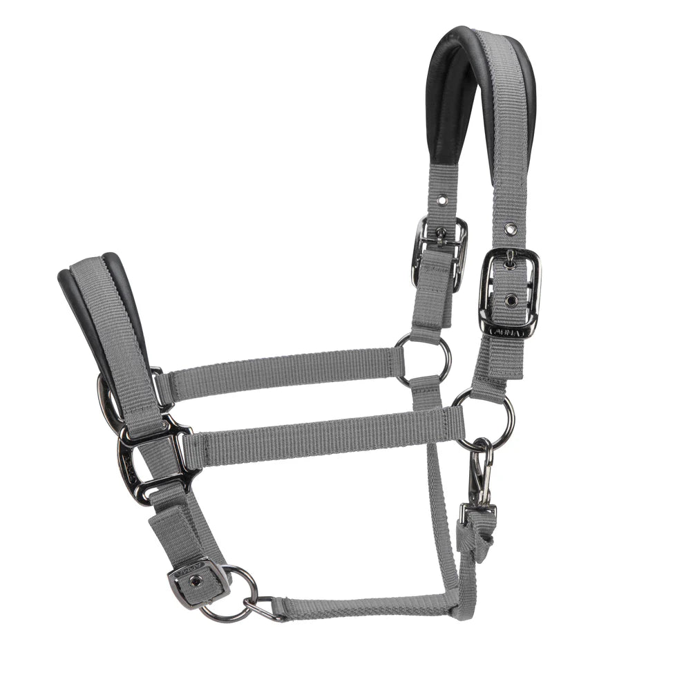 Shires ARMA Pro Padded Headcollar