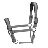 Shires ARMA Pro Padded Headcollar