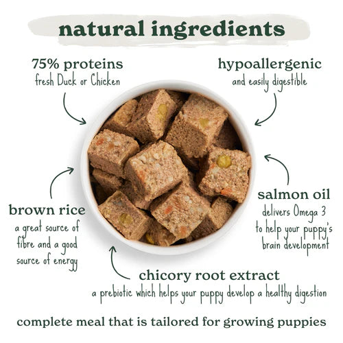 Forthglade Puppy Complete Wholegrain Duck & Chicken with Brown Rice 12x395g