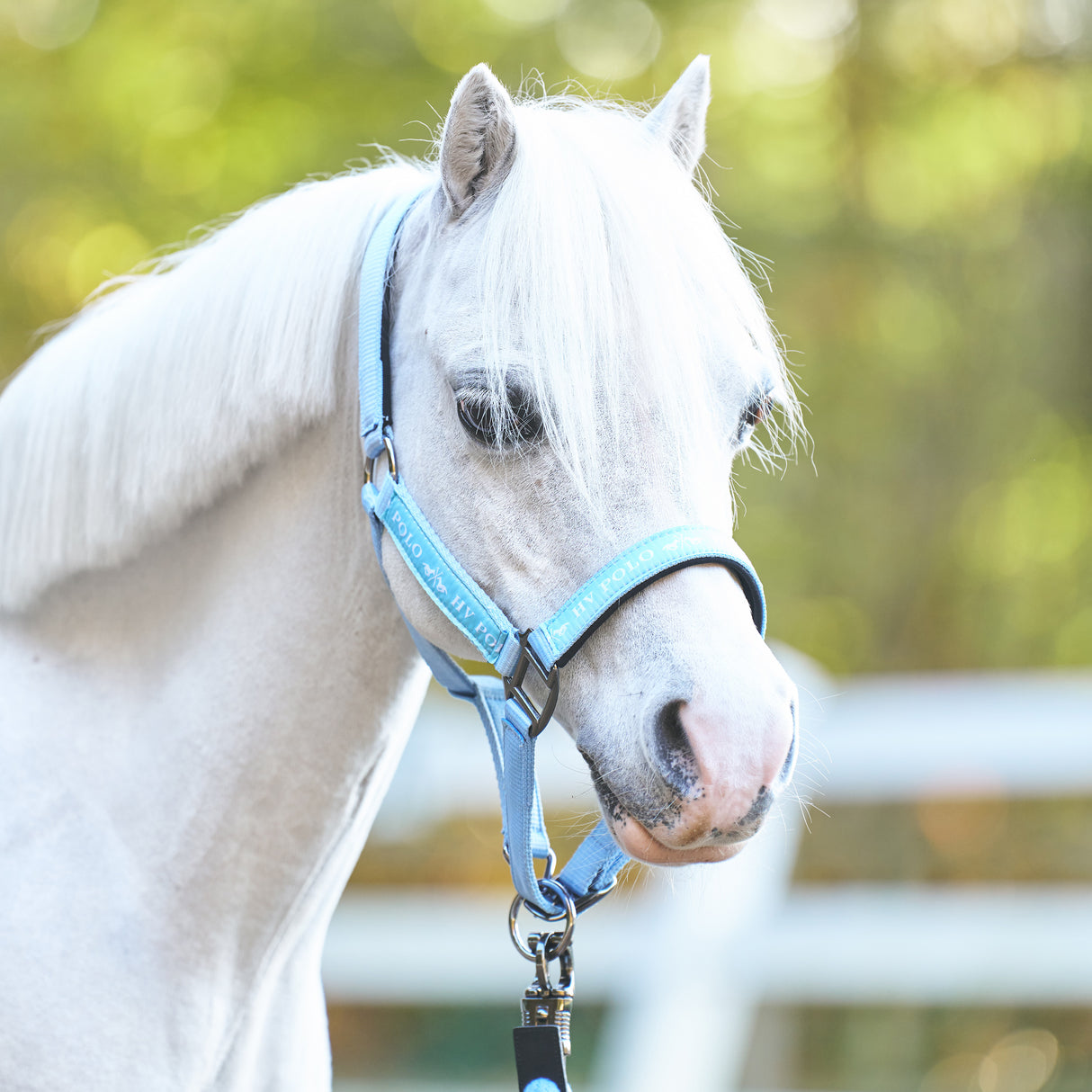 HV Polo Headcollar HVPNena Powder Blue