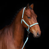 HV Polo Headcollar HVPNena Aqua Sky