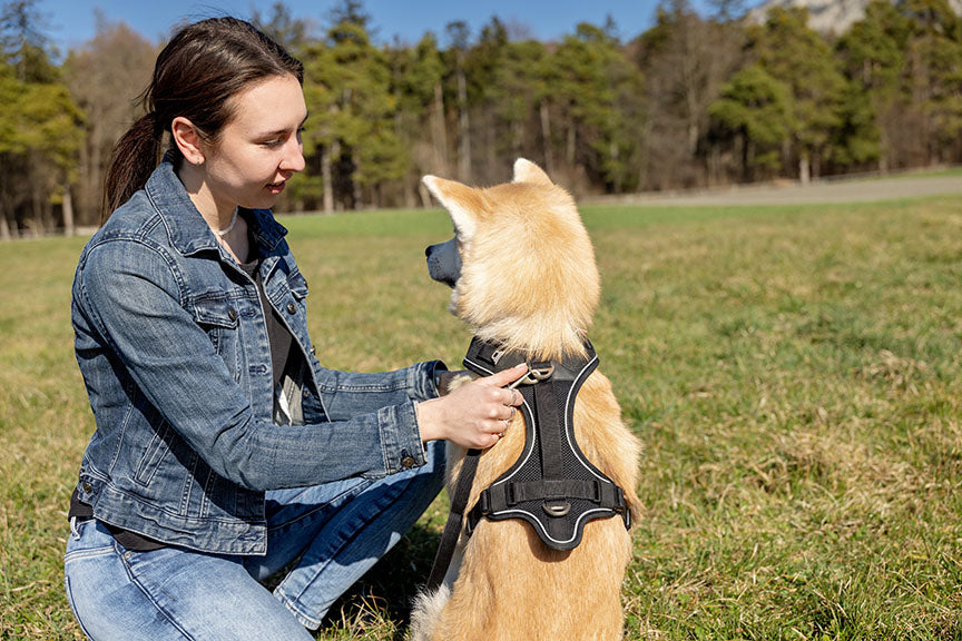 Curli Belka Harness Adjustable Neck