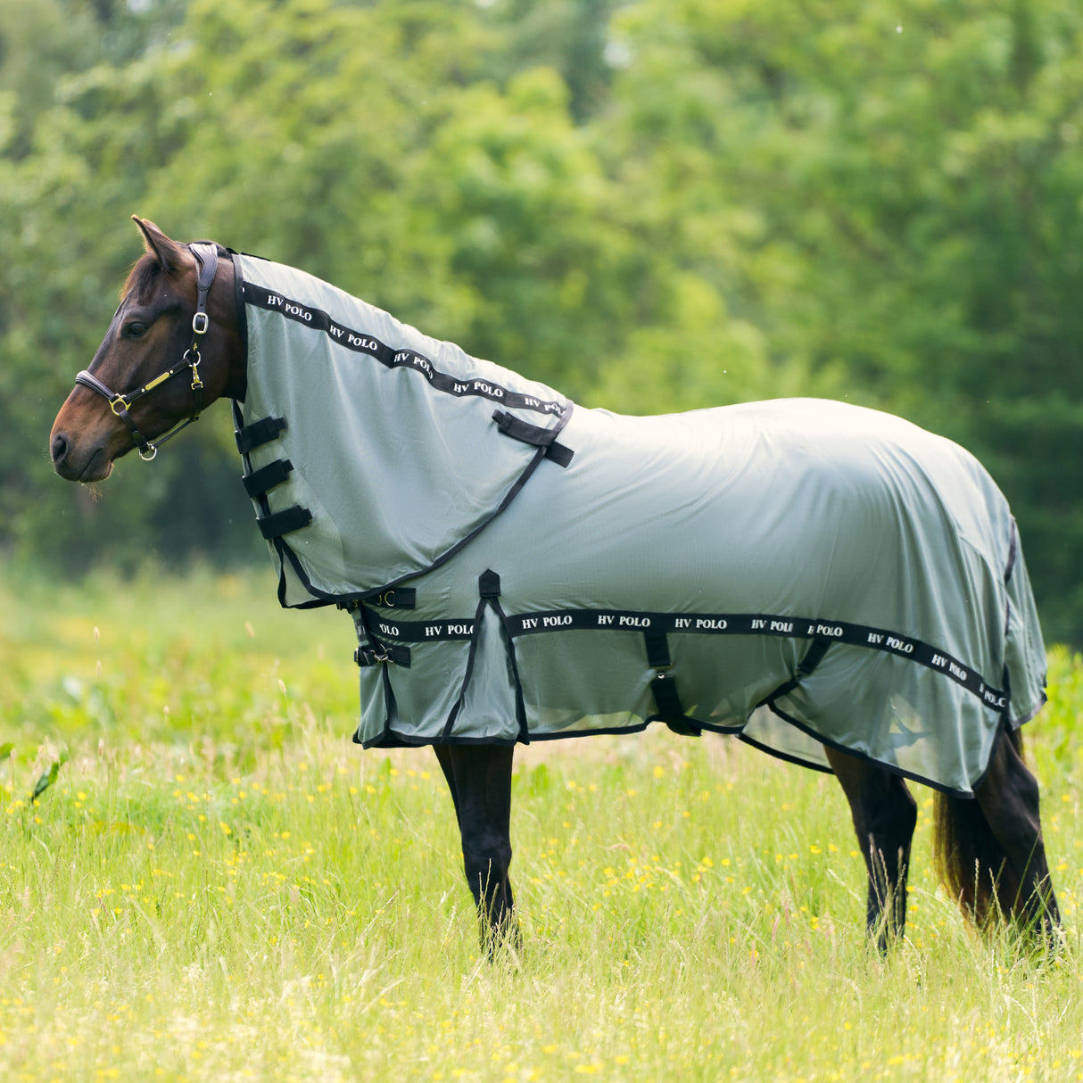 HV Polo Fly Blanket HVPNena Greenery