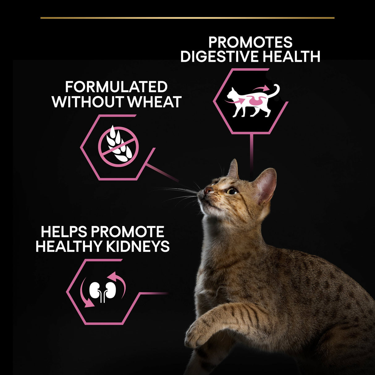 Pro Plan Cat - Adult Delicate Digestion Turkey 3kg