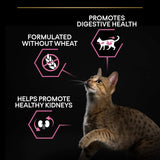 Pro Plan Cat - Adult Delicate Digestion Turkey 3kg