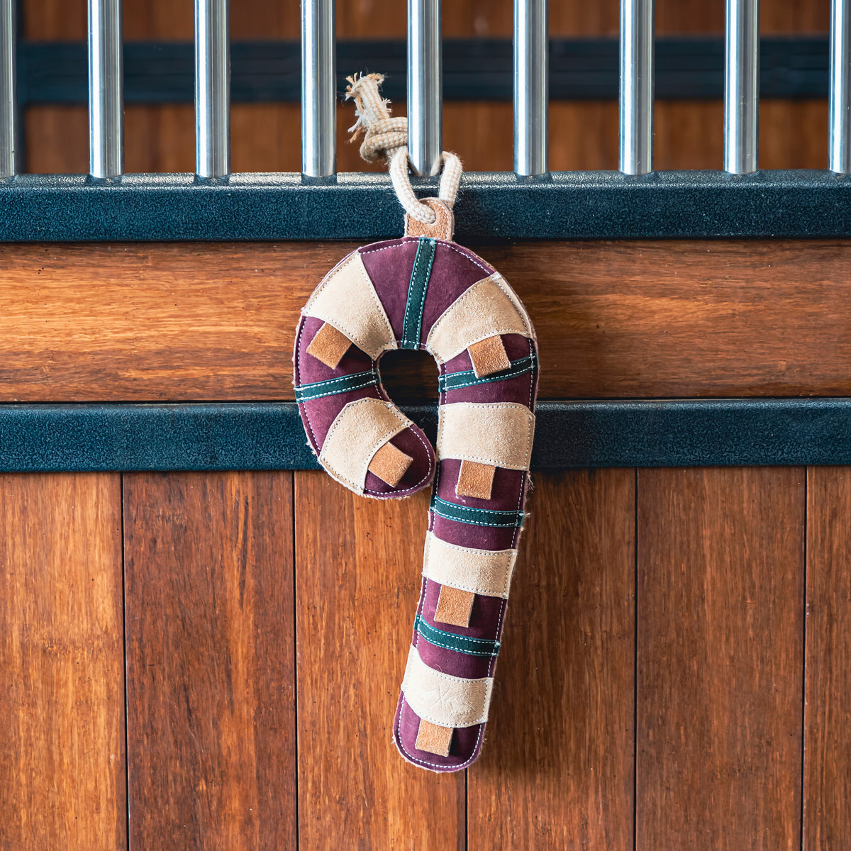 HV Polo Stable Buddy HVPLolly Multi