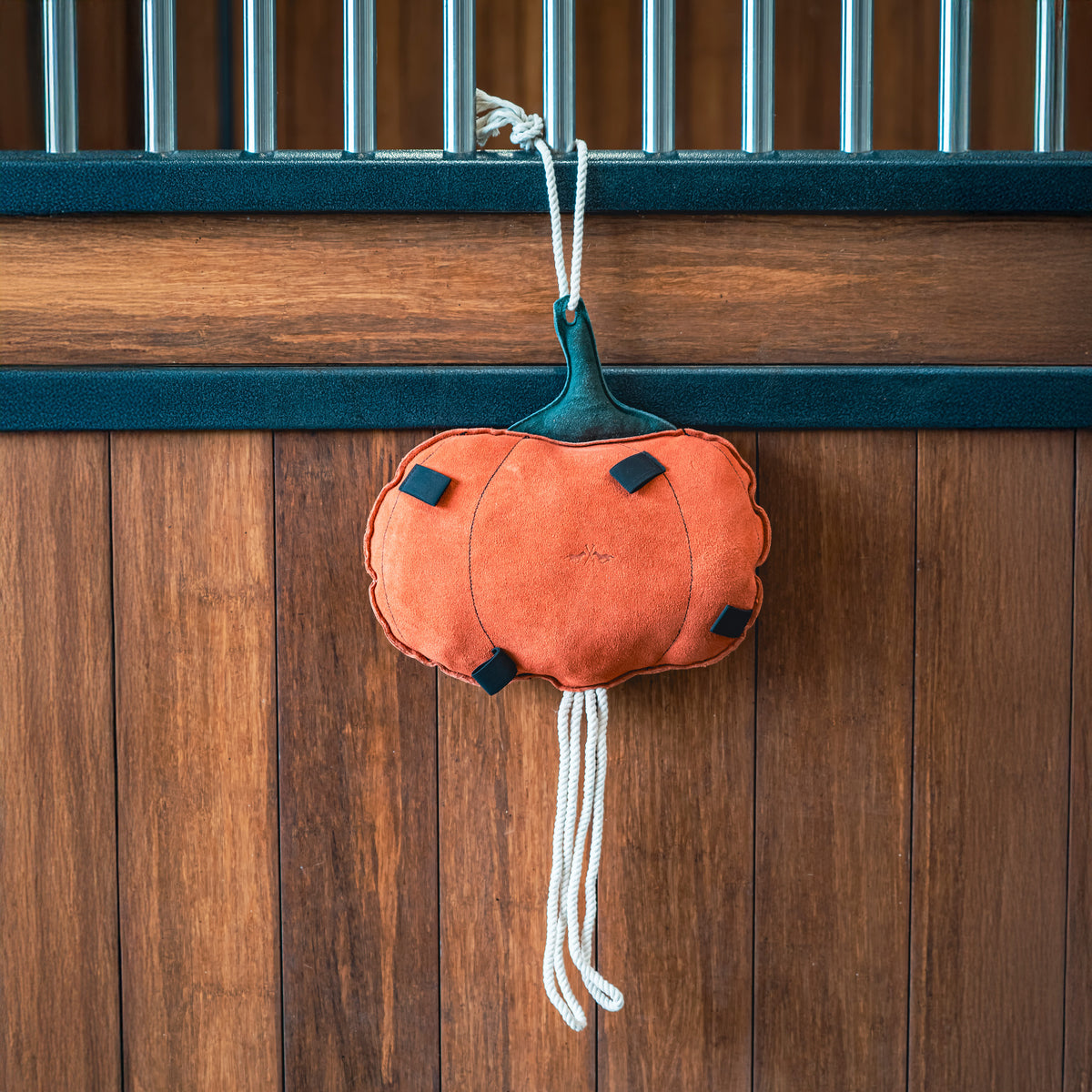 HV Polo Stable Buddy HVPPumpkin Pumpkin